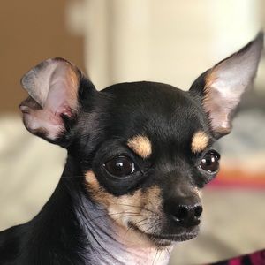 Meet your Posher, Nina